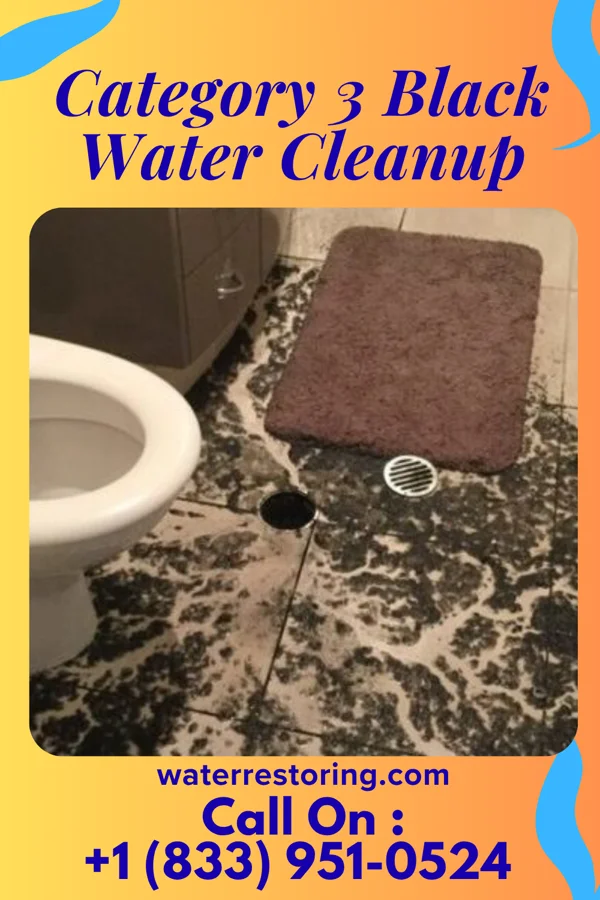 Category 3 Black Water Cleanup in Braswell, GA